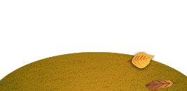 sol2